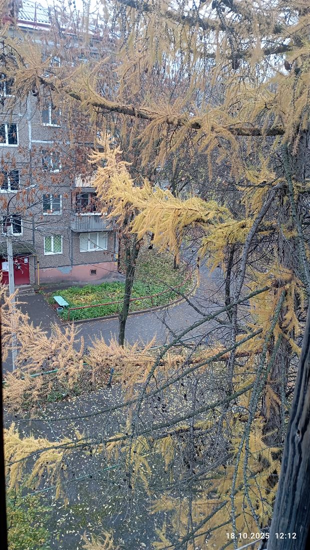 Купить 2-комнатную квартиру